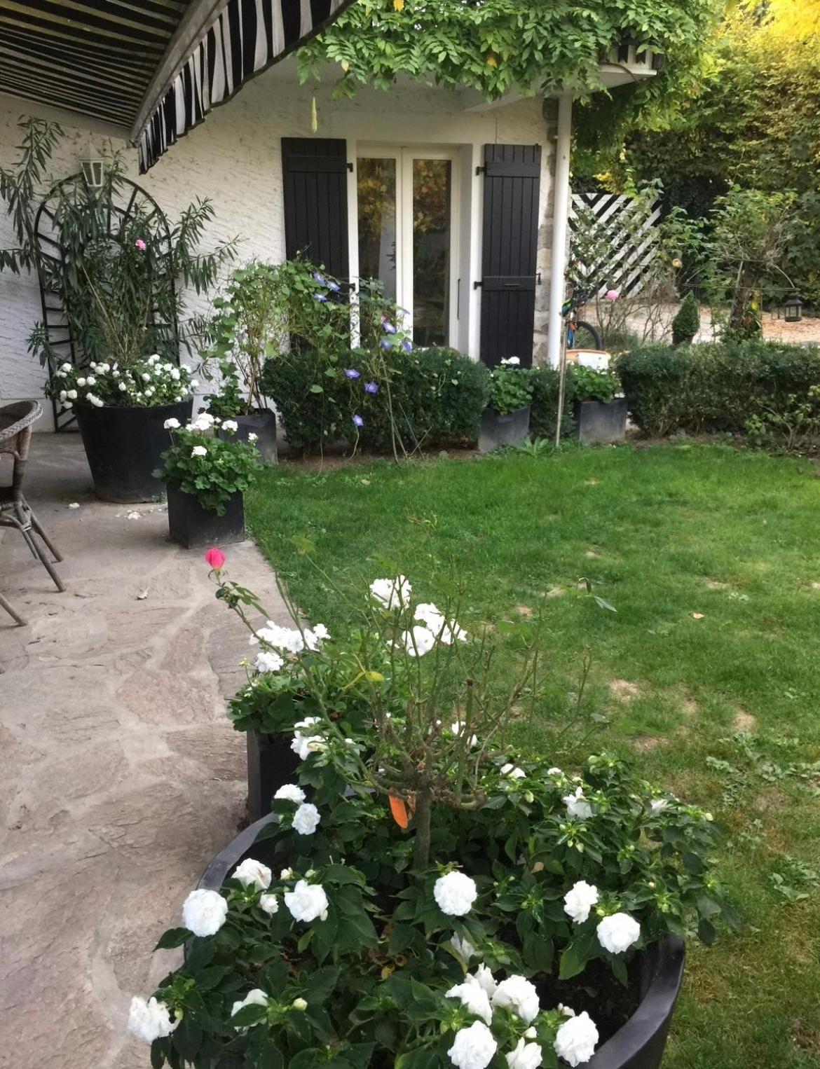 Ferienwohnung L'Arbre Aux Papillons Veigy-Foncenex Exterior foto